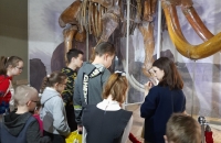 Посещение историко-палеонтологический музея г. Азова