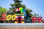 Лето в зоопарке